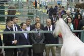 Equimur 2018 - Saln Internacional de Caballos de Razas Puras Regin de Murcia