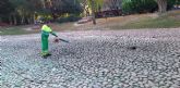 Realizan la revisión y limpieza del lago del Jardín de la Seda para optimizar su estado