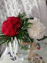 Murcia celebra este lunes la Ofrenda de Flores a la Virgen de la Fuensanta