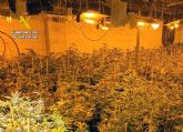 La Guardia Civil desarticula un grupo criminal y detiene a sus 11 miembros por delitos de cultivo y tráfico de droga