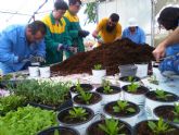 Los Centros de Día para la Discapacidad impulsan el Taller de Jardinería gracias a la colaboración de la empresa local Viveros Bermejo