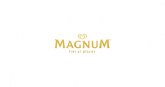 Magnum colabora con troye sivan