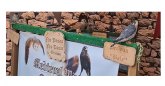 Denuncian que el Ayuntamiento de Alcantarilla incumple su propia ordenanza al permitir la exhibicin de rapaces en un mercado medieval