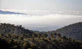 Una modélica restauración sitúa Sierra Espuña como ejemplo de ecoturismo