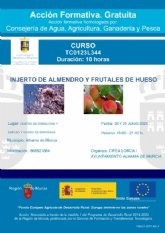 Curso gratuito de injerto de almendro y frutales de hueso: 20 y 21 de junio