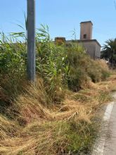 PP: El nivel de degradacin y abandono causado por el alcalde del PSOE en el municipio provoca que los propios vecinos desbrocen y limpien sus caminos