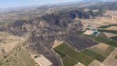 La dirección de la extinción da por 'EXTINGUIDO' el incendio forestal declarado en el paraje de la Patoja en Jumilla