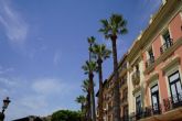 El Ayuntamiento de Murcia inicia la campa&ntilde;a anual de revisi�n y poda de las m�s de 18.000 palmeras del municipio