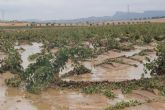 La Oficina Comarcal Agraria y el Ayuntamiento ponen a disposicin formularios para declarar daños por las lluvias