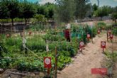 Abierto el plazo para solicitar la gestión de los huertos ecológicos de la Universidad de Murcia