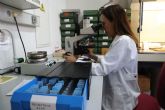 Salsola y cipr�s cartagenero: las puertas abiertas en el laboratorio de Aerobiolog�a anticipan pr�ximos picos de al�rgenos