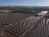 Ekhi pone en marcha su primera instalación de gran escala: un parque fotovoltaico de 4,41 MWp en la Región de Murcia