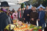 Feria del Da Internacional del Migrante en el Jardn del Malecn de Murcia