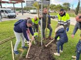 El Plan Foresta y la Junta Municipal de Churra organizan una gran plantaci�n vecinal en la pedan�a para crear un nuevo bosque urbano y mitigar las emisiones de CO2