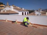 El Ayuntamiento de Lorca instala 25 casas nido en diversos edificios municipales para facilitar la cría del vencejo y seguir apostando por el cuidado y el conocimiento de las aves