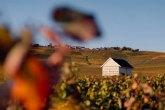 Louis Roederer, elegida 'Marca de Champagne m�s Admirada del Mundo' por s�ptimo ano consecutivo
