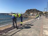 Comienzan los trabajos de mantenimiento de la balaustrada del Paseo Parra