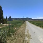 El Ayuntamiento inicia una campaña de desbroces de las carreteras y vas del amplio trmino municipal de Lorca a travs de la Concejala de Pedanas
