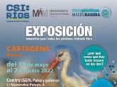 Exposicin 'microplsticos, MACROBASURA' en Mucho Ms Mayo