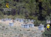 La Guardia Civil investiga a dos personas por el hurto de colmenas en tres explotaciones apícolas