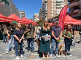 El Ayuntamiento lanza la campaña informativa sobre la gratuidad de la adopció de animales que se encuentran en Zoonosis