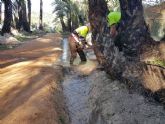 El agua vuelve a llenar las acequias del Palmeral de Santiago y Zaraiche.