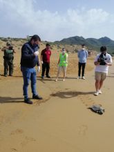 Liberacin de una tortuga en Calblanque tras ser tratada en el centro de recuperacin