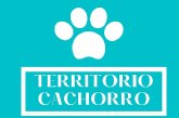 Nacho Vilar Producciones abre la convocatoria de TERRITORIO CACHORRO