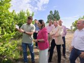 El Ejecutivo autonmico apoya la digitalizacin del sector agro en el cultivo de limn en la Regin de Murcia