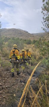Medios areos y terrestres del Plan Infomur apagan conato de incendio forestal en Jumilla