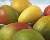 Mlaga se convertir el prximo septiembre en la capital mundial del mango