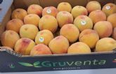 Destacan la “gran calidad” de la campaña hortofrutícola de verano aunque apuntan una gran pesadez comercial en los mercados