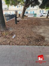 IU-Verdes de Cieza denuncia el estado de abandono de las �reas verdes del municipio