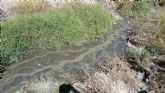 El PSOE denuncia el vertido de aguas fecales a la rambla del Madroño, en Las Terreras