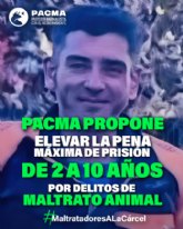 PACMA vuelve a concentrarse en Medinaceli para exigir el fin del Toro Jbilo tras la decisin judicial que podra autorizarlo