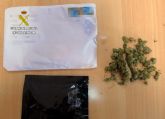 La Guardia Civil desmantela una organizacin criminal dedicada a la produccin y distribucin internacional de cannabis