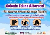 El Ayuntamiento de Molina de Segura pone en marcha un proyecto piloto en la Colonia Felina Altorreal