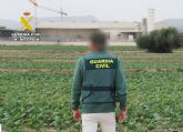 La Guardia Civil destapa en una finca de Totana un caso de explotacin laboral