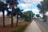Va Pblica acondiciona parterres y repone arbolado en el Polgono de Santa Ana