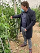 La Comunidad cofinancia un proyecto de transformacin del guisante en producto gourmet