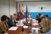 Pol�tica Social presenta la Estrategia regional contra la Soledad no Deseada al Consejo Asesor de Personas Mayores