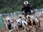 El torre&ntilde;o Tomás Ruiz, campeón de Espa&ntilde;a de mushing de sprint en tierra 2025