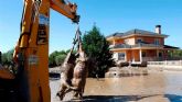 IU Lorca pide explicaciones sobre el colector de pluviales de Saprelorca cuya construcción debía haber empezado en 2018