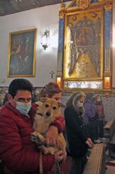 Fiesta de San Antonio Abad y bendición de animales en la Pastora y Santa Marina de Sevilla