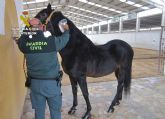 La Guardia Civil destapa las irregularidades presuntamente cometidas por una clínica veterinaria en la confección de pasaportes equinos