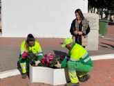 Trabajadores de los servicios de limpieza y jardinera trabajan, tras el temporal de viento, para que el cementerio vuelva a presentar su aspecto habitual