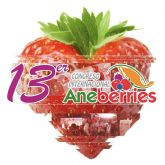 Las Berries de Mxico 