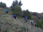 ARBA Cartagena concluye la temporada 2019-20 con la plantacin de ms de 3.000 rboles autctonos en las sierras de Cartagena y La Unin