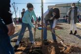 Comienza la plantación de árboles en los centros educativos de Cartagena