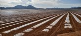 Ecologistas en Acci�n denuncia ante el juzgado posibles delitos entorno al informe de metales pesados de la UPCT